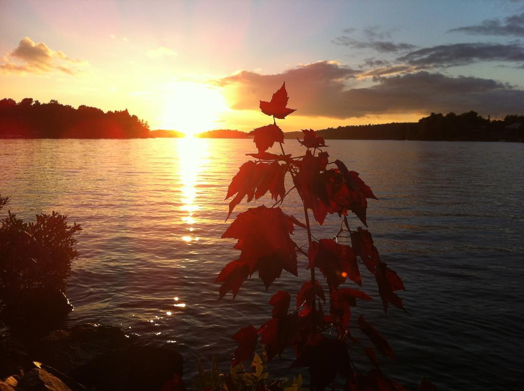 Lake Lauzon Resort Blind River Rum bild